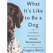 What It's Like to Be a Dog: And Other Adventures in Animal Neuroscience  *HALF PRICE*